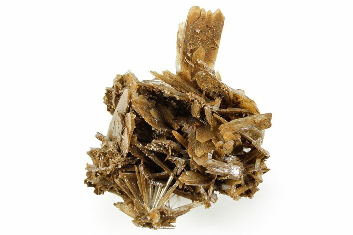 Sharp Bladed Blue Barite Cluster with Limonite - Morocco #365646